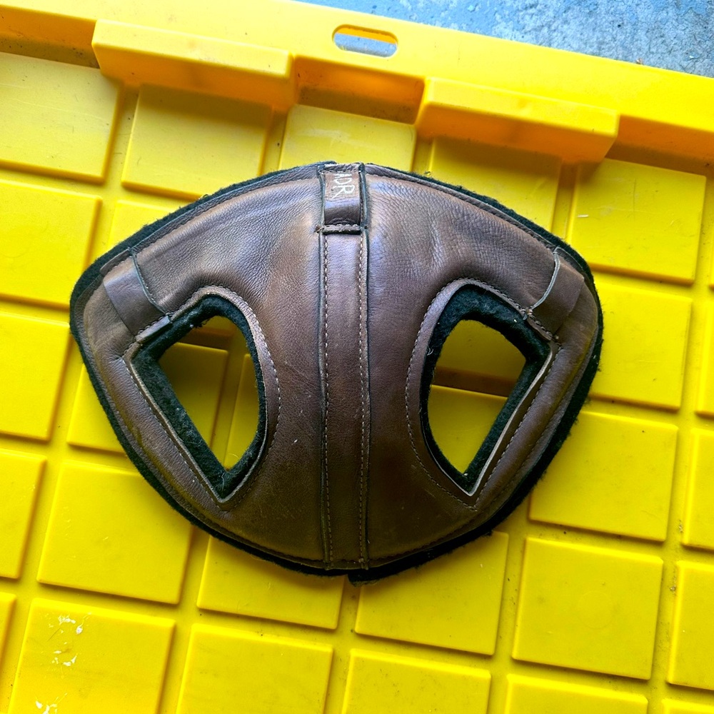 Horse Helmet